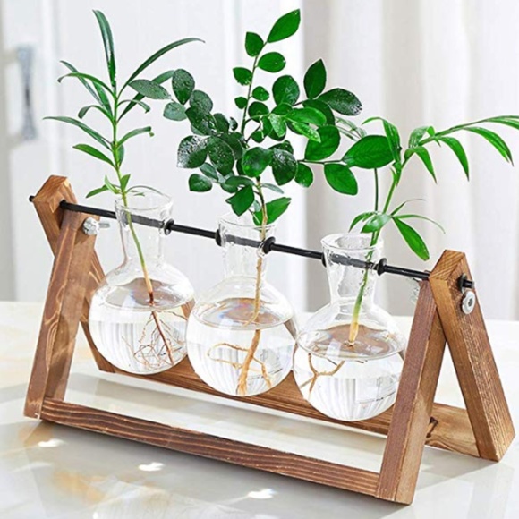 Desktop Glass Planter 3 Bulb Vase - Picture 3 of 9